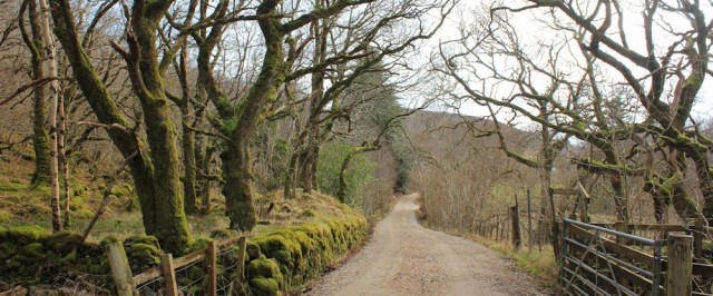 33 through Drimnin estate, Ruth hiking the coast of Morvern Peninsula