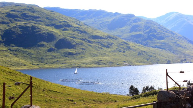 54 Loch a Choire with fish farm, Ruth's coastal walk around Scotland