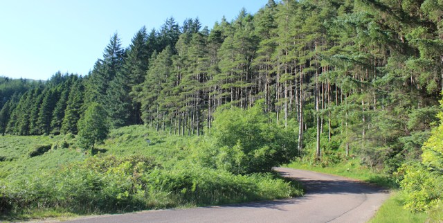 62 winding road to Loch Ulsge, Ruth's coastal walk around Scotland, Kingairloch