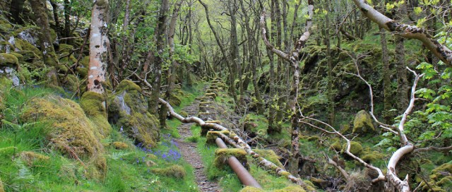 02 up the valley by the pipe, Ruth walking the coast of Scotland, Castle Tioram