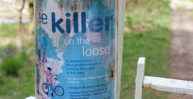 19 Killer on the Loose, Ruth walking towards Castle Tioram, Scotland