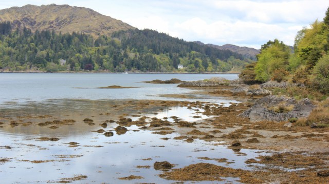 27 view across Loch Moidart to Shona, Ruth walking towards CastleTioram. Doirlinn, Scotland