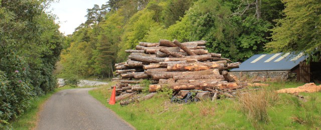 28 logpiles, Ruth walking towards CastleTioram. Doirlinn, Scotland