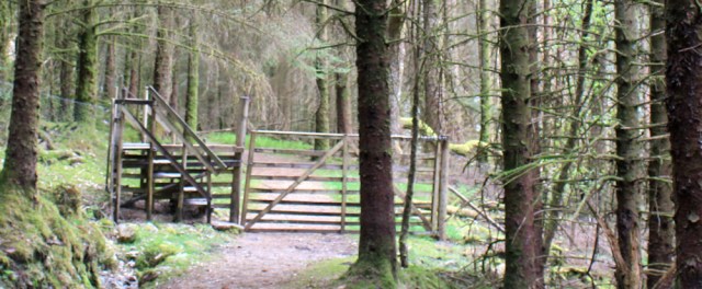 05 deer fence, Ruth's coastal walk, Loch Moidart