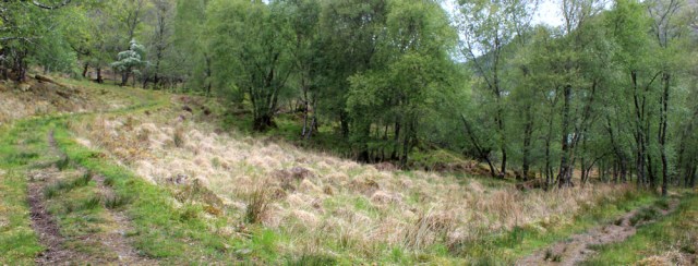 08 path forks, Ruth's coastal walk, Loch Moidart