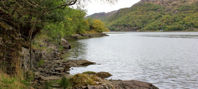 09 path along water's edge, Ruth's coastal walk, Loch Moidart