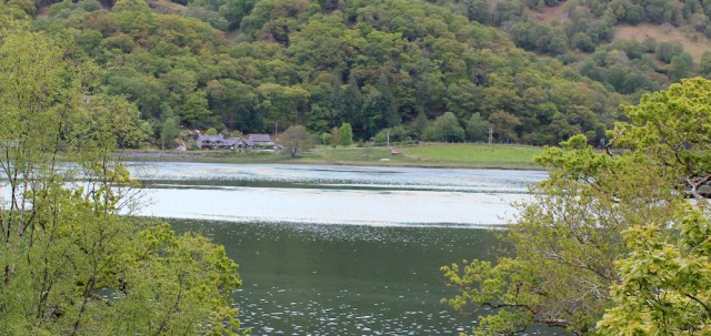11 noise on other side of water, Ruth's coastal walk, Loch Moidart