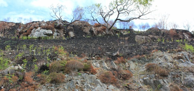 13 fire damage, Ruth walking to Arisaig, Scotland