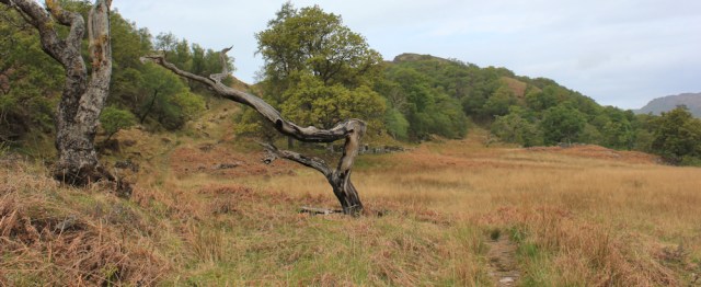 14 around Torr Port a Bhata, Ruth's coastal walk, Loch Moidart
