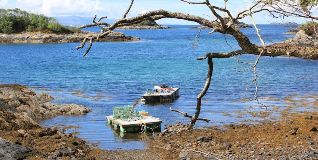 18 fishing rafts, Ruth walking to Arisaig, Scotland