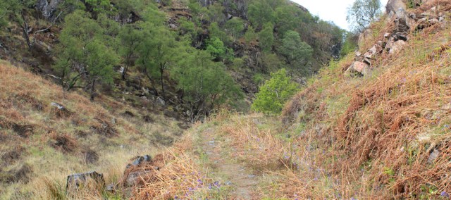 18 track around Torr Port a Bhata, Ruth's coastal walk, Loch Moidart