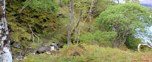 19 overlooking the water, Ruth's coastal walk, Loch Moidart