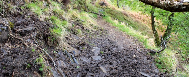 20 muddy path, Ruth's coastal walk, Loch Moidart