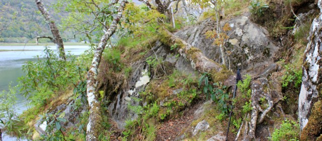 24 scramble along Silver Walk, Ruth's coastal walk, Loch Moidart