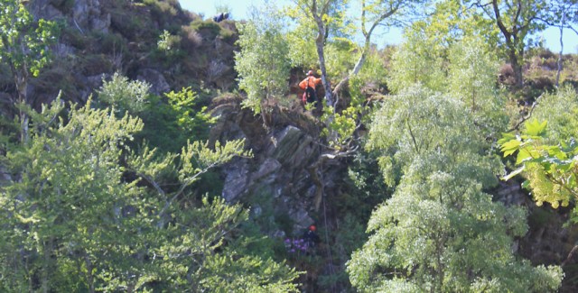 31 men in trees, Ruth walking to Arisaig, Scotland