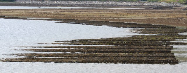 44 weird structures, Ruth walking up Loch Ailort, Scotland