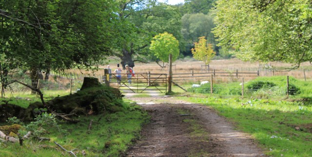 50 cow-free gate, Ruth walking to Arisaig, Scotland