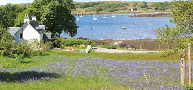 57 bluebell field and ships, Ruth walking to Arisaig, Scotland