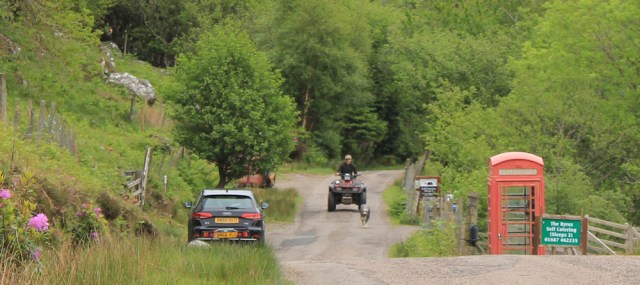 07 farmer and sheepdog, Ruth walking along the shore of Loch Morar