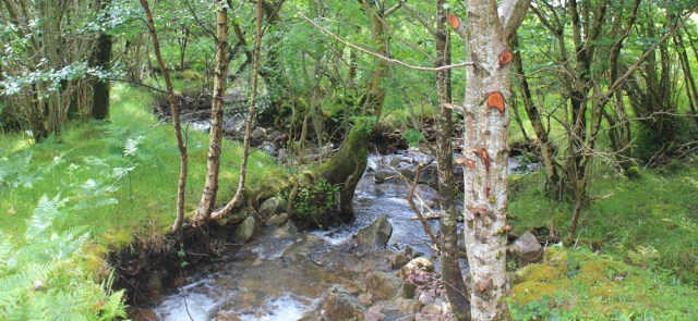 07 little streams, Ruth walking the Scottish coast from Arnisdale to Sandaig