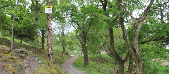 13 get shot sign, Ruth walking along the shore of Loch Morar