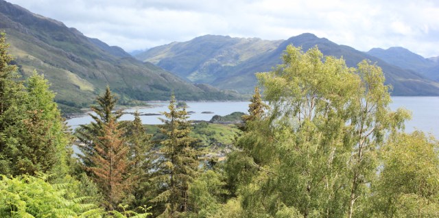 16 looking up Loch Hourn towards Corran, Ruth walking the Scottish coast from Arnisdale to Sandaig