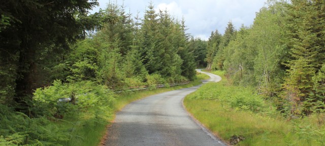 18 winding through woodland, Ruth walking the Scottish coast from Arnisdale to Sandaig