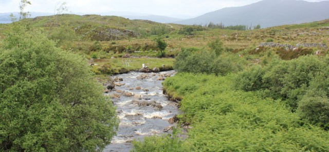 25 Allt Mor Shantaig, Ruth walking the Scottish coast from Arnisdale to Sandaig