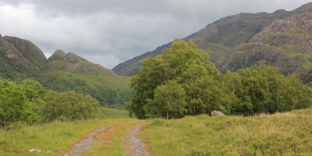 25 cow-free path, Ruth walking down Glen Arnisdale to Corran