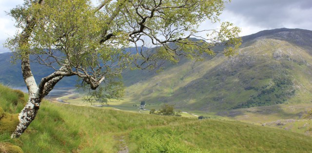 36 descent into Barridale, Ruth hiking from Inverie, Knoydart Peninsula