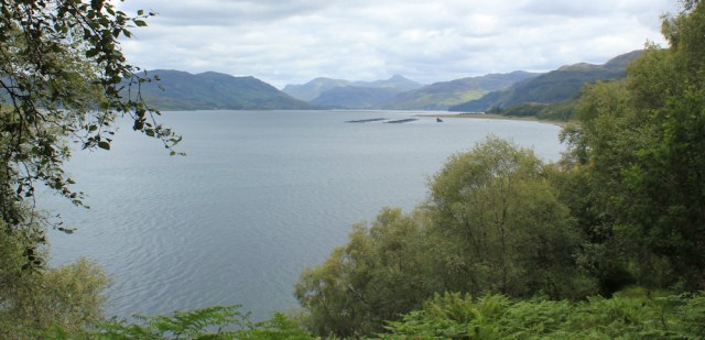 13 looking up Loch Alsh, walking round the coast of Glenelg, Scotland