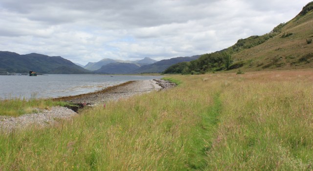 16 grassland, Loch Alsh, walking round the coast of Scotland