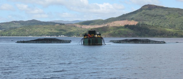 17 fish farm Loch Alsh, walking round the coast of Glenelg, Scotland