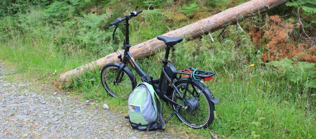 20 introducing Scooty, Ruth's new companion on her coastal walk
