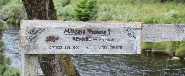 60 missing tortoise sign on bridge, footbridge over Glenmore river, Ruth's coastal walk around Glenelg peninsula, Scotland