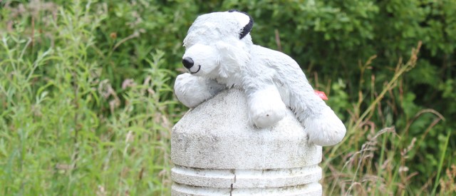 22 eyeless teddy on the post, Ruth's coastal walk around Scotland