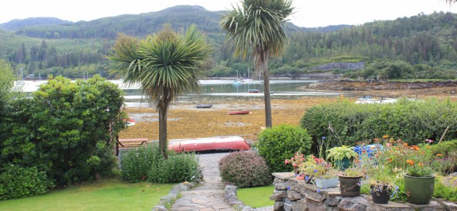 04 Plockton palm trees, Ruth walking the coast of the Scottish Highlands