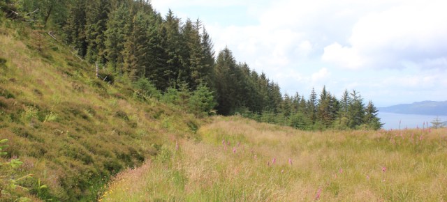 06 into the woods, Ruth walking the coast of the Glenelg Peninsula, Scotland