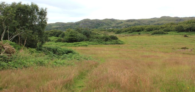 08 overgrown golf course, The Plock, Ruth's coastal walk around the Highlands of Scotland
