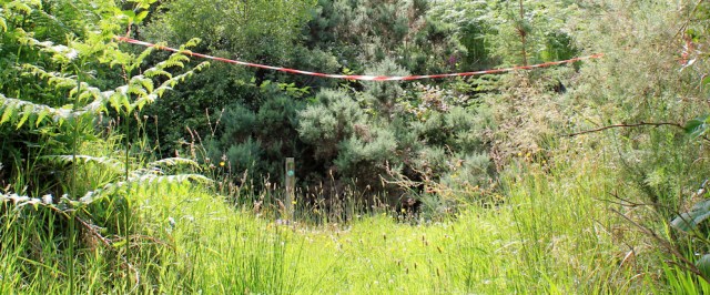 15 top of the path, Ruth's coastal walk around Glenelg, Scotland