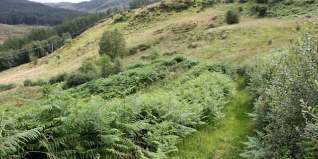 18 path to Totaig from Ardintoul, 2nd attempt, Ruth's coastal walk around Glenelg, Scotland