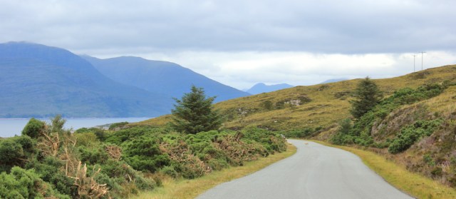 18 sheep on road to Plockton, Ruth walking the coast of the Scottish Highlands