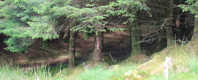 22 down among the trees, Ruth's coastal walk around Glenelg, Scotland