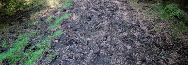 25 mud bath, Ruth's coastal walk to Totaig around Glenelg, Scotland