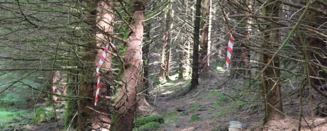 27 markers along the path to Totaig, Ruth's coastal walk around Glenelg, Scotland