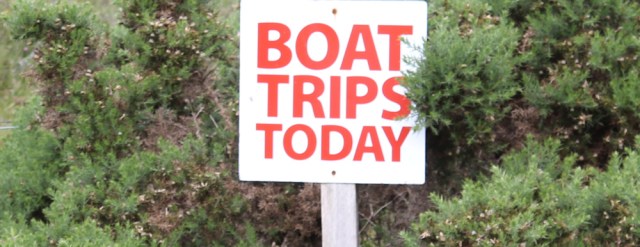 34 Boat Trips Today, Plockton, Ruth walking the coast of the Scottish Highlands