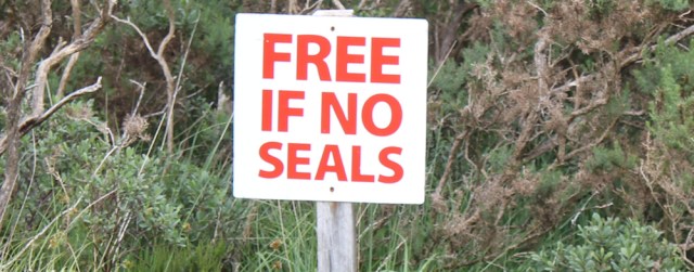 35 Free if no Seals, Plockton, Ruth walking the coast of the Scottish Highlands