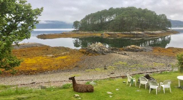 41 last night view, Craig's Farm, Plockton