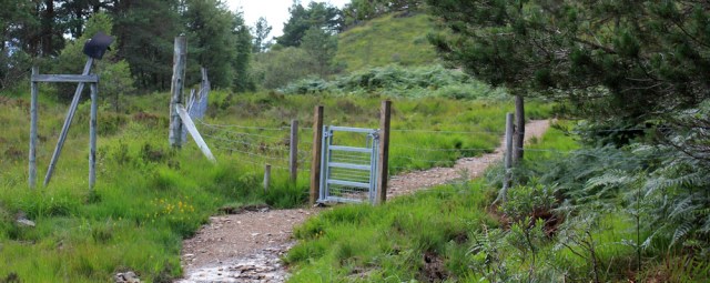 54 gate up the hill, Ruth hiking the Scottish coast