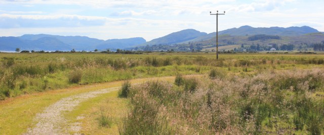 72 water meadows, Ruth walking the shore of Loch Carron